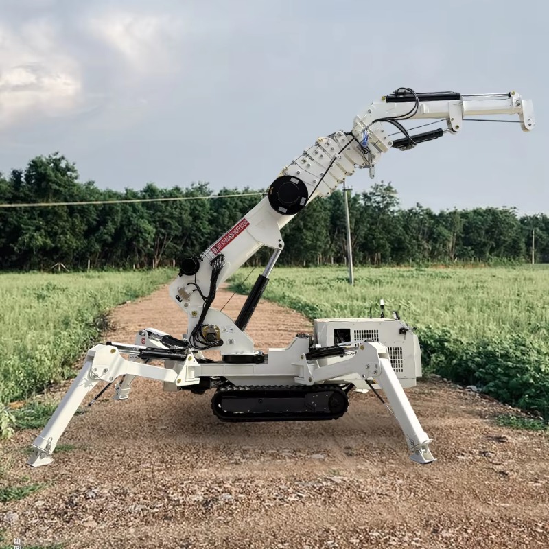 رافعة عنكبوتية صغيرة مدمجة بسع - مراجعة Compact Crawler Boom Lift وسعره